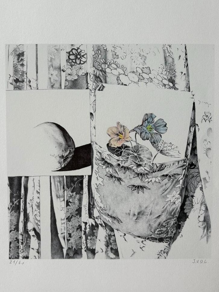 Jacky Van Der Linden - lithografie, Antiquités & Art, Art | Lithographies & Sérigraphies, Enlèvement ou Envoi