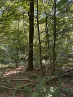 Bois de chauffage, Ophalen