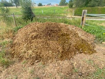 Gratis paardenmest beschikbaar voor biedingen