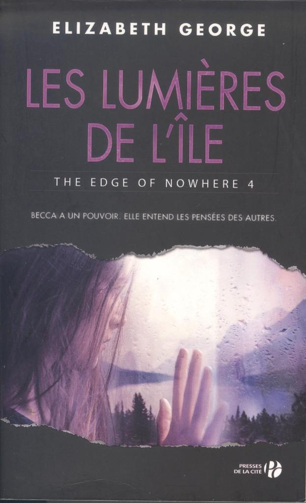 LES LUMIÈRES DE L'ÎLE, Livres, Thrillers, Comme neuf, Enlèvement ou Envoi