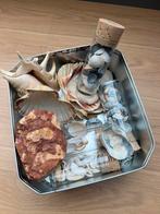 Leuke doos met schelpen en stenen, Diversen, Ophalen, Gebruikt