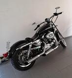 sportster 1200C, Motoren, Particulier