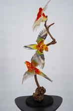 Opgezette Prachtrosella op tak - Wildernis Atelier