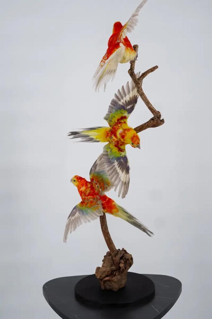 Opgezette Prachtrosella op tak - Wildernis Atelier, Verzamelen, Dierenverzamelingen
