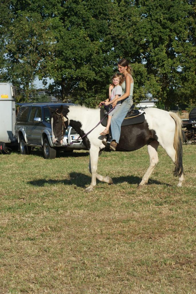Western Paardrijlessen voor Jonge Ruitertjes, Dieren en Toebehoren, Rijtuigen en Koetsen, Pony