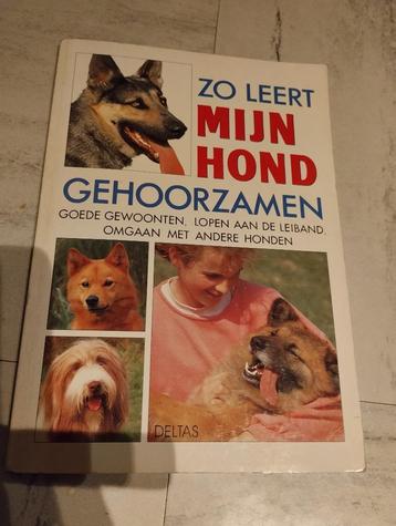 Zo leert mijn hond gehoorzamen boek beschikbaar voor biedingen