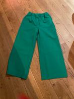 Les Jummels groene broek met wijde pijpen, Vêtements | Femmes, Culottes & Pantalons, Comme neuf, Enlèvement ou Envoi