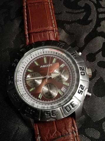 Ascots duikers horloge nieuw chronograaf nieuw opgedragen  beschikbaar voor biedingen