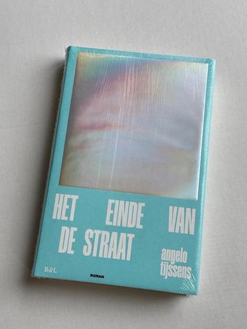 Het einde van de straat, A. Tijssens – 2024 (nieuw) beschikbaar voor biedingen