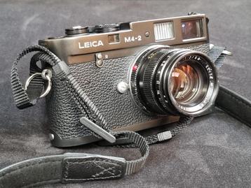 Leica M4-2 + Summicron-M 50mm F/2 V2 beschikbaar voor biedingen