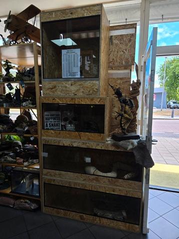 Terrariums,  toebehorenen en voedseldieren  beschikbaar voor biedingen