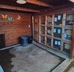 GEZOCHT : transport voor konijnenhok, Ophalen