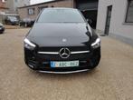 B 250 e, Auto's, 4 deurs, 4 cilinders, 120 kW, Bedrijf