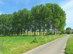 Bos, Immo, Gronden en Bouwgronden, Brakel, Verkoop zonder makelaar, 500 tot 1000 m²