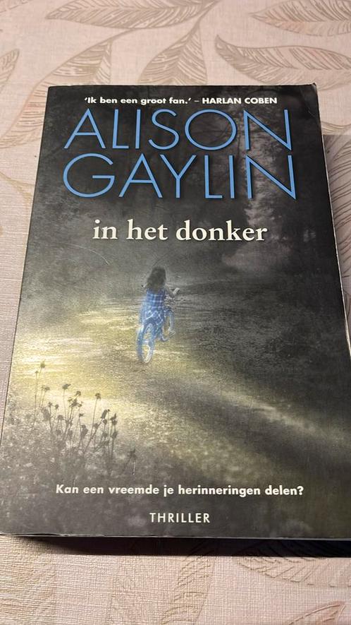 Alison Gaylin - In het donker, Boeken, Thrillers, Zo goed als nieuw, Ophalen of Verzenden
