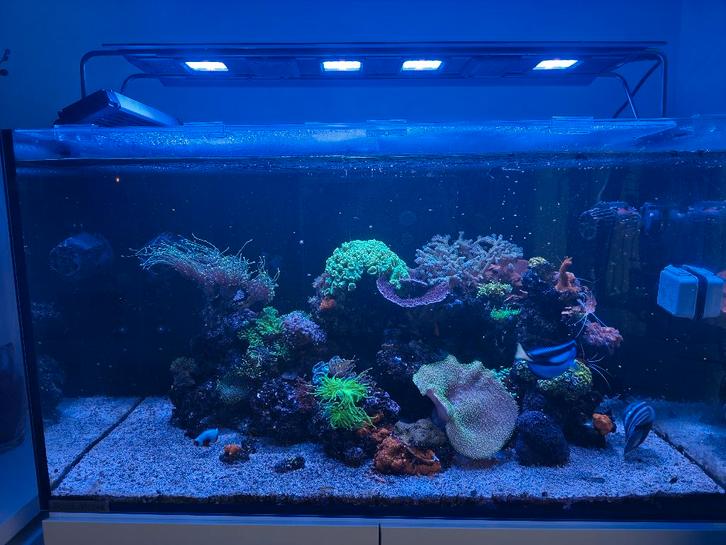 Rampe maxspect razor RS-200, Dieren en Toebehoren, Vissen | Aquaria en Toebehoren, Zo goed als nieuw, Verlichting of Verwarming