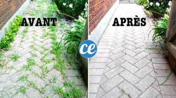 Désherbant Roundup Neuf. Région Charleroi beschikbaar voor biedingen