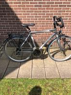 Krigori fiets in goede staat te koop, Fietsen en Brommers, Versnellingen, Overige merken, Zo goed als nieuw, 53 tot 57 cm
