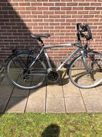 Krigori fiets in goede staat te koop, Versnellingen, Overige merken, Zo goed als nieuw, 53 tot 57 cm