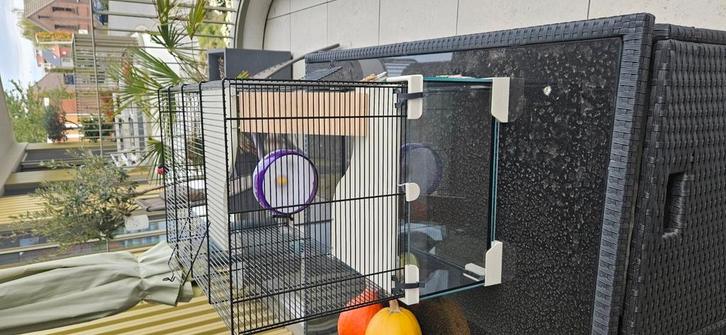 Dwerghamsterkooi glas plus toebehoren, Dieren en Toebehoren, Knaagdieren en Konijnen | Hokken en Kooien, Zo goed als nieuw, Kooi