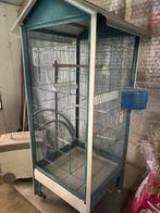 Vogelkooi, Dieren en Toebehoren, Vogels | Overige Vogels, Geslacht onbekend, Wildzangvogel, Tam