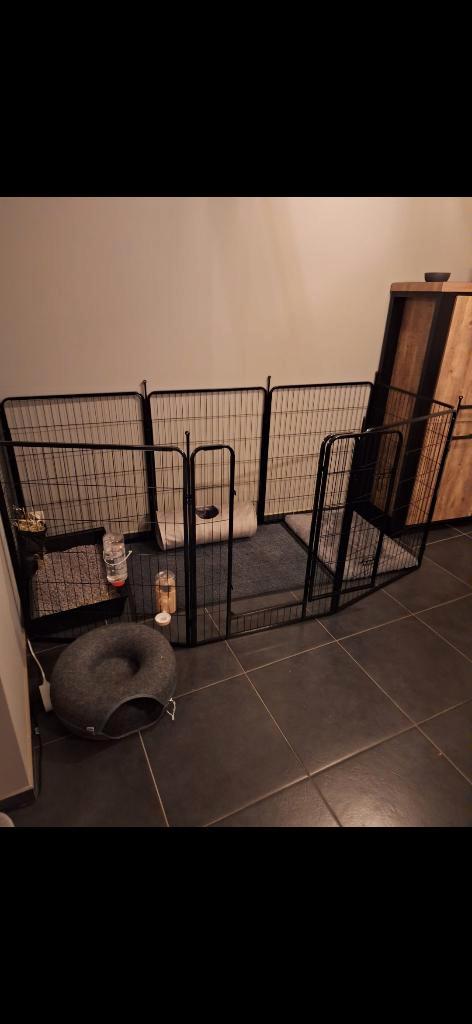 Puppy ren, Dieren en Toebehoren, Hondenhokken, Zo goed als nieuw, Hondenkennel, 100 cm of meer, 75 tot 110 cm, Ophalen