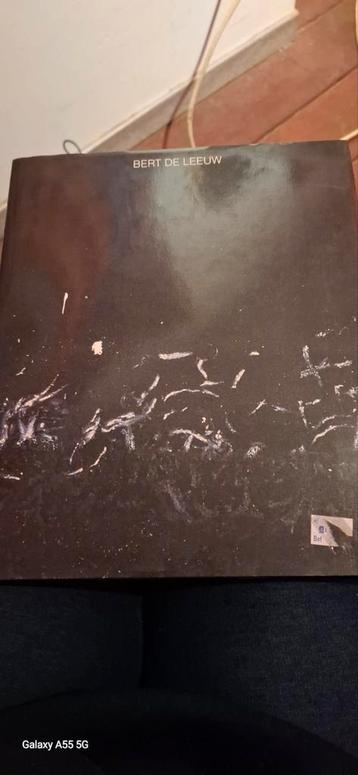 Bert de leeuw monografie, Enlèvement