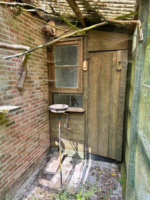 Gratis volières / vogelkooien / buitenkooien – zelf afbreken, Dieren en Toebehoren, Vogels | Hokken en Kooien, Gebruikt, Volière