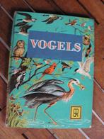 Boek voor de jeugd “Vogels”, Non-fiction, Utilisé, Enlèvement ou Envoi