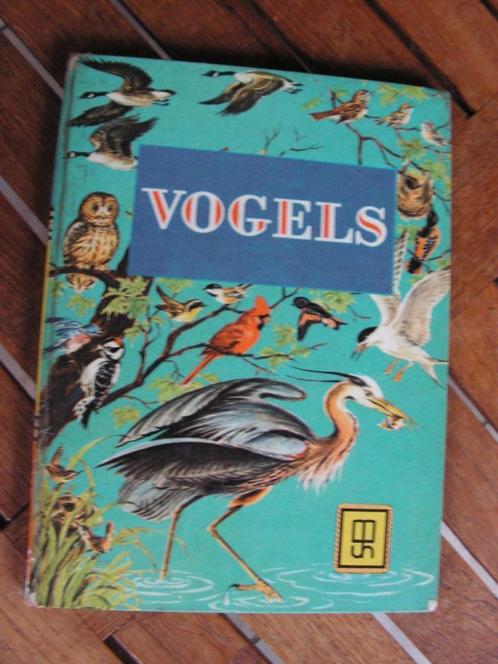 Boek voor de jeugd “Vogels”, Livres, Livres pour enfants | Jeunesse | 13 ans et plus, Utilisé, Non-fiction, Enlèvement ou Envoi