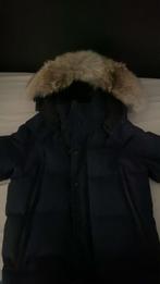 Canada goose nine, ter waarde van 1.400 euro in de winkel, Kleding | Heren, Ophalen of Verzenden, Zo goed als nieuw