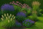 Tuinhulp, Tuin en Terras, Planten | Tuinplanten, Ophalen