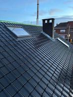 Reparatie van het dak, Ophalen of Verzenden, Zo goed als nieuw