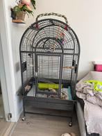 Pappegaai kooi, Dieren en Toebehoren, Ophalen of Verzenden