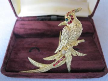 Prachtige broche met paradijsvogel           beschikbaar voor biedingen