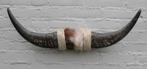 Texas style BULLBAR- 73 cm - afgewerkt met koeienvel en touw, Ophalen of Verzenden, Nieuw, Boerderijdier, Gewei of Kop