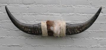 Texas style BULLBAR- 73 cm - afgewerkt met koeienvel en touw beschikbaar voor biedingen