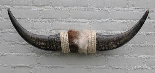 Texas style BULLBAR- 73 cm - afgewerkt met koeienvel en touw, Verzamelen, Dierenverzamelingen, Nieuw, Gewei of Kop, Boerderijdier