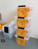 Nieuwe selectieve Aziatische Hoornaarsval te koop 20€/stuk, Jardin & Terrasse, Pesticides, Enlèvement ou Envoi, Neuf, Lutte antiparasitaire