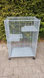 Kooi voor kleine knaagdieren, Ophalen, Gebruikt, Kooi, Rat