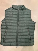 Gilet Massimo Dutti vert XXL, Vêtements | Hommes, Enlèvement ou Envoi, Taille 56/58 (XL), Comme neuf, Vert
