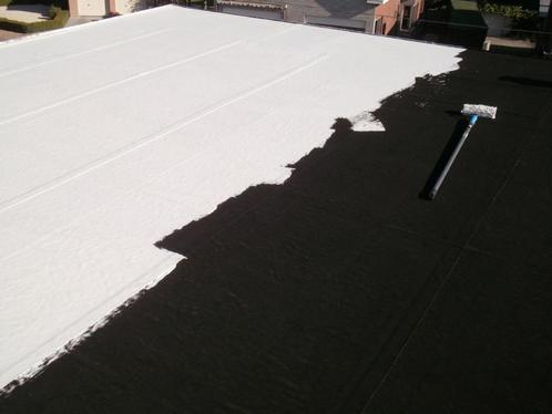 reflecterende dakverf tegen de zon, Doe-het-zelf en Bouw, Verf, Beits en Lak, Nieuw, Verf, Ophalen