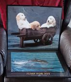 posters achter glas, Enlèvement ou Envoi, Comme neuf, Animal et Nature, Avec cadre