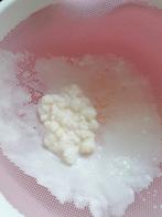 melkkefir roosjes, Diversen, Levensmiddelen, Ophalen