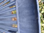 Tuintafel + 4 stoelen Hartman, Tuin en Terras, Tuintafels, Ophalen, Gebruikt, Rechthoekig