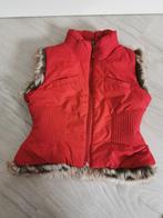 Bodywarmer Floriane NIEUW! - maat 92, Kinderen en Baby's, Kinderkleding | Maat 92, Floriane, Meisje, Nieuw, Ophalen of Verzenden