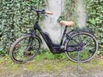 Norta Limited Plus 520 . Bosch Perf Line . 500Wh . 48 cm, Fietsen en Brommers, Fietsen | Dames | Damesfietsen, Overige merken