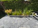 Vijverplantenbak inox verrijdbaar, Tuin en Terras, Ophalen, Zo goed als nieuw
