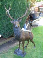 groot hert staand in brons H 1m75!, Tuin en Terras, Ophalen, Nieuw, Overige materialen, Dierenbeeld