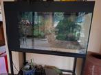 Aquarium 100cm x 40 x 62 cm sur pieds, Animaux & Accessoires, Poissons | Aquariums & Accessoires, Enlèvement, Utilisé